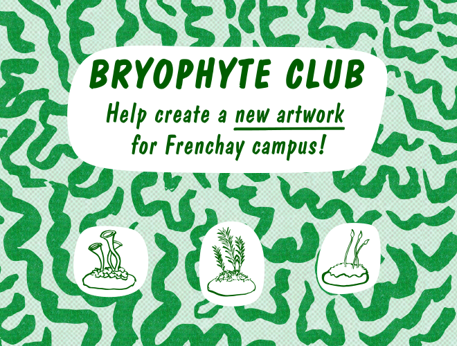 A dark and light green graphic with the words 'Bryophyte Club - Help create a new artwork for Frenchay campus!' and three illustrations of mosses on a squiggly background.