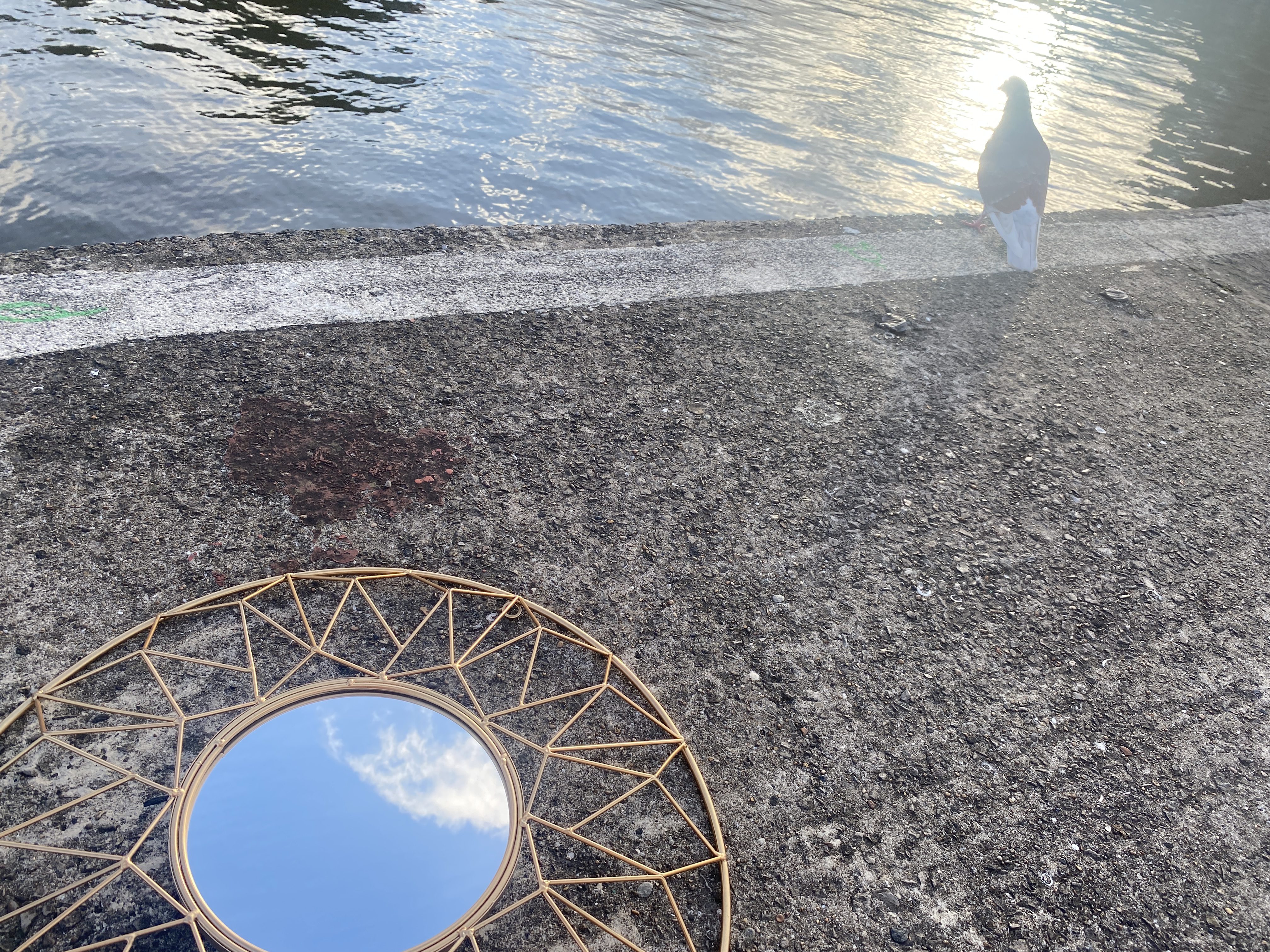 A colour photograph of a gold embellished frame with a mirror in the middle placed at the edge of a canal, with a pigeon on the right top corner.