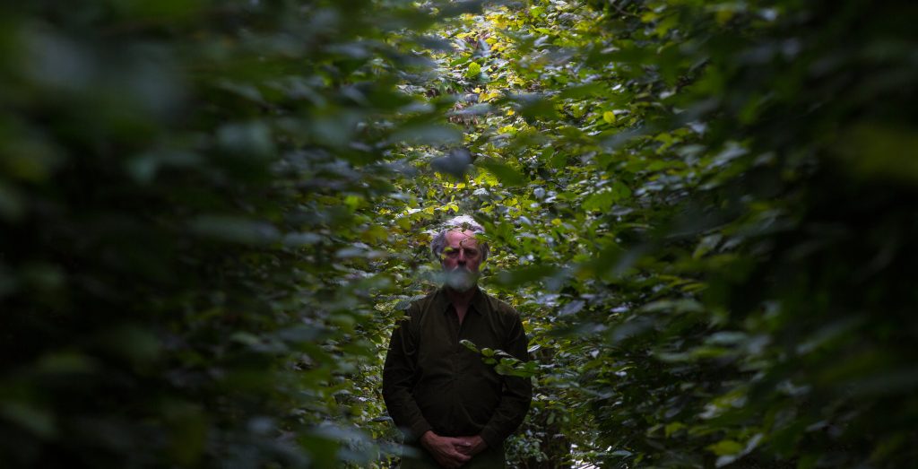 A colour photograph of the artist Garry Fabian Miller. His surrounded by leaves from trees all around, some of which partially obscure his face.