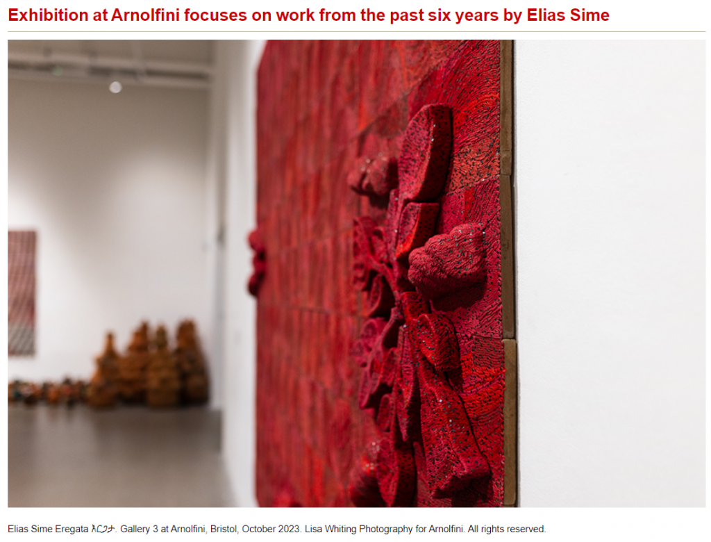 Art Daily Exhibition at Arnolfini - Article on Exhibition opening for Eregata Elias Sime 