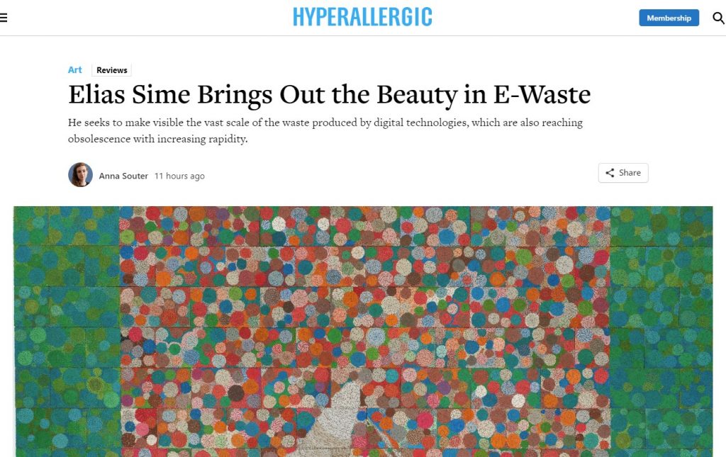 screen shot of the article for Hyperallergic