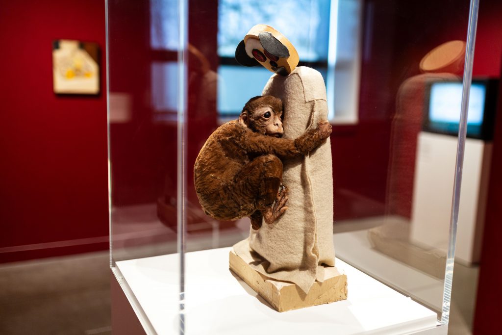 a colour photograph of the artwork Surrogate by Cathie Pilkington - a sculpture of a monkey clutching onto a cloth mother figure